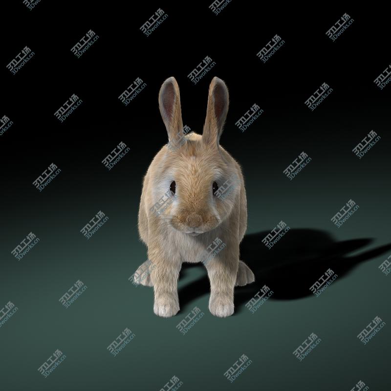 images/goods_img/202104094/Rabbit (Cream) (FUR)/4.jpg